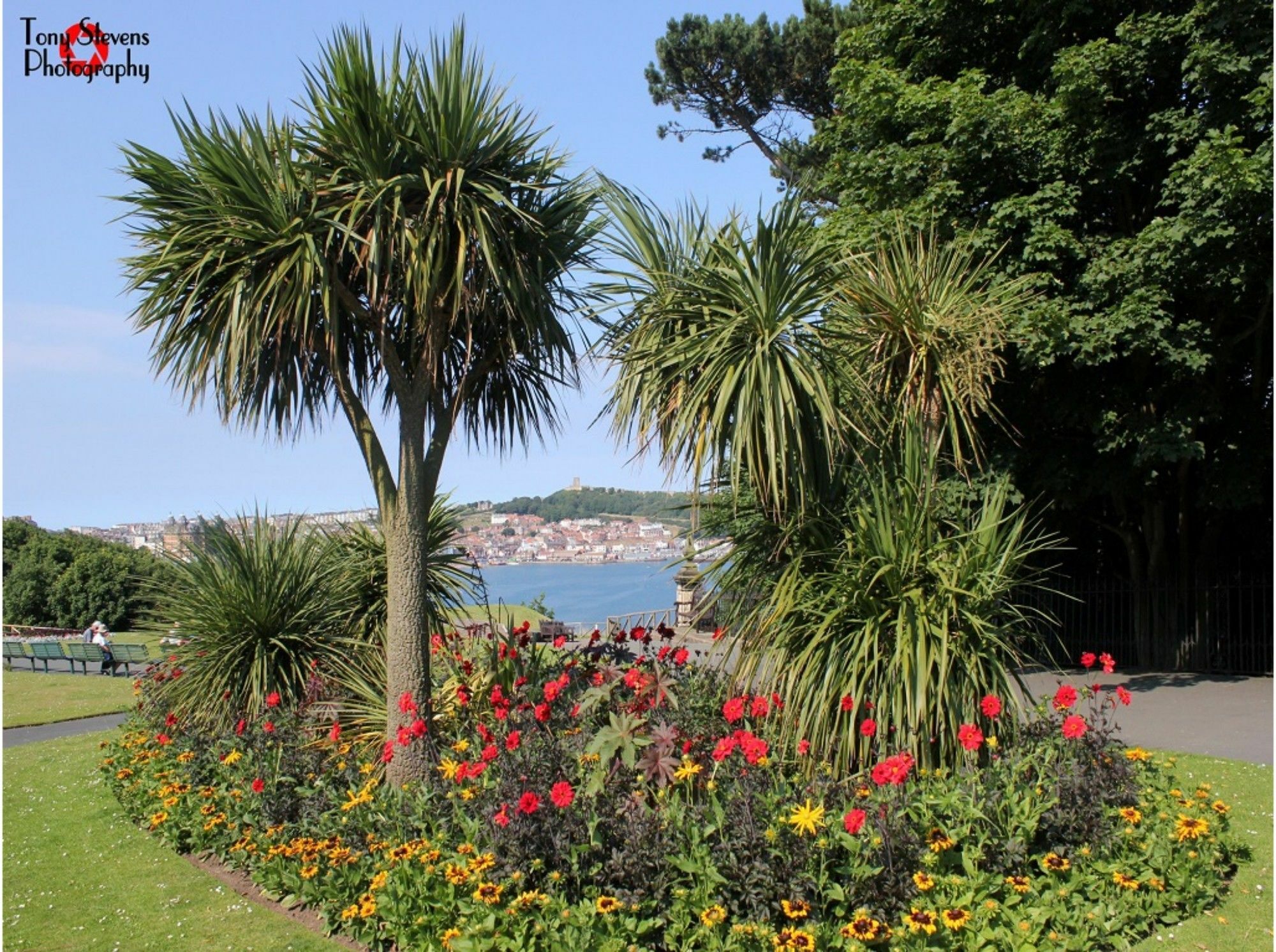 Esplanade Gardens B&B Scarborough Kültér fotó